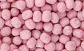 Karaneige fraise (100 g)